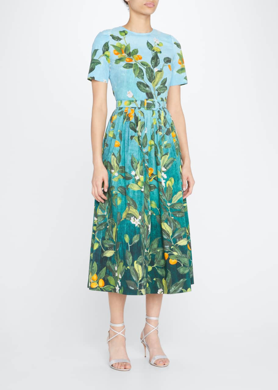Oscar de la Renta Degrade Fortunella-Print Pleated Midi Dress w/ Self Belt  - Bergdorf Goodman