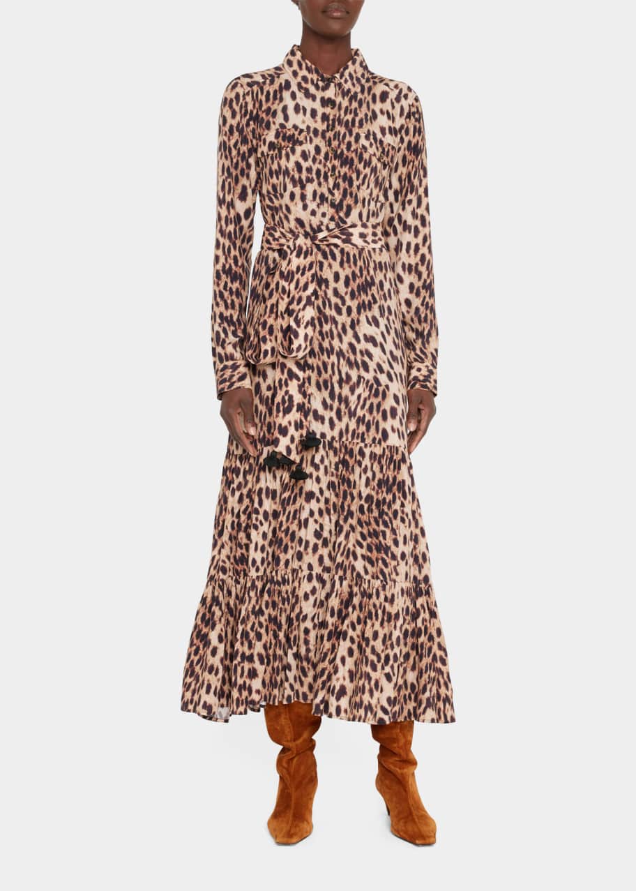 Image 1 of 1: Teagan Cheetah-Print Belted Maxi Shirtdress