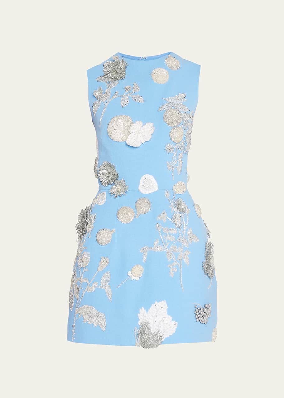 Embroidered Mini Dress