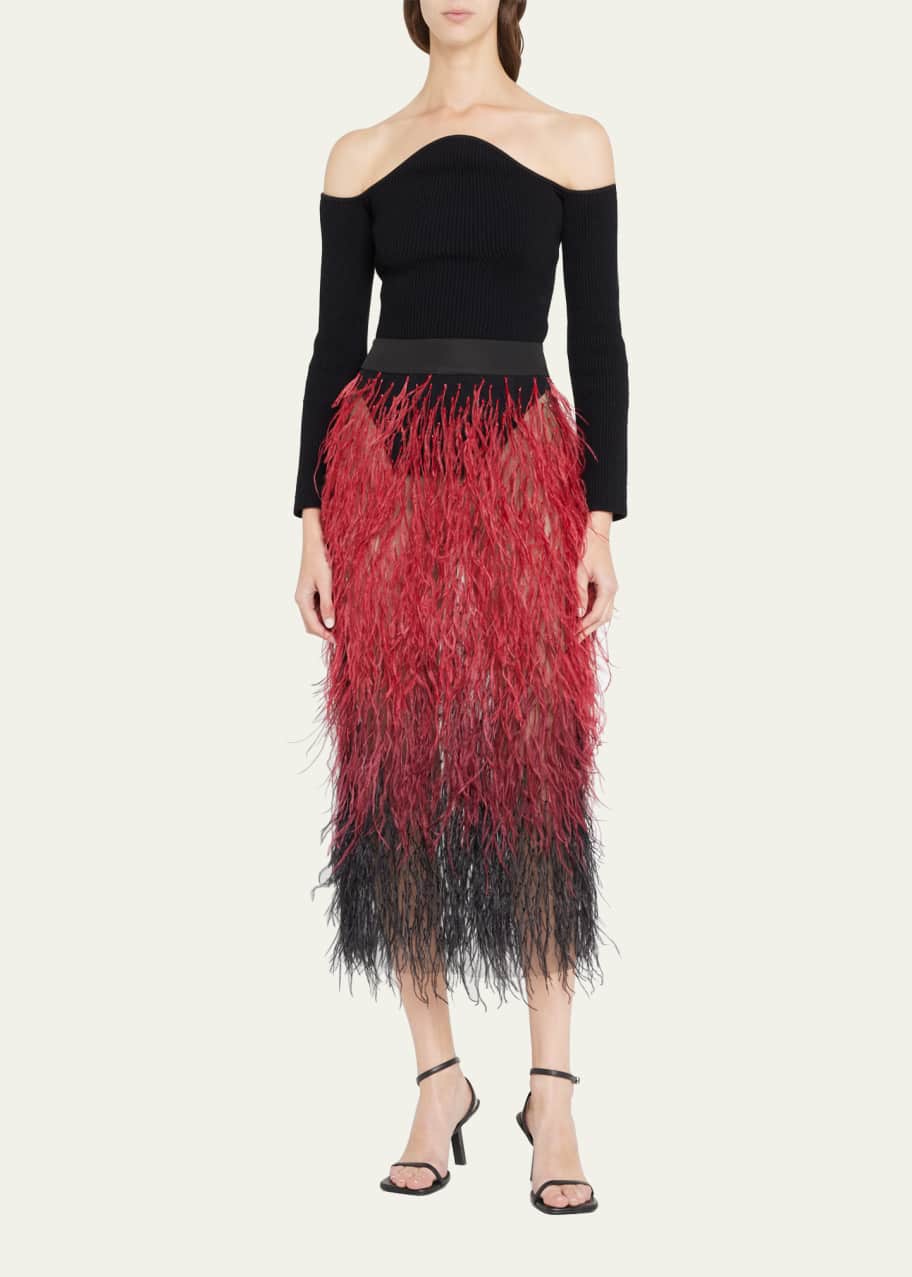 Image 1 of 1: Tulle Midi Skirt w/ Feather Embellishments