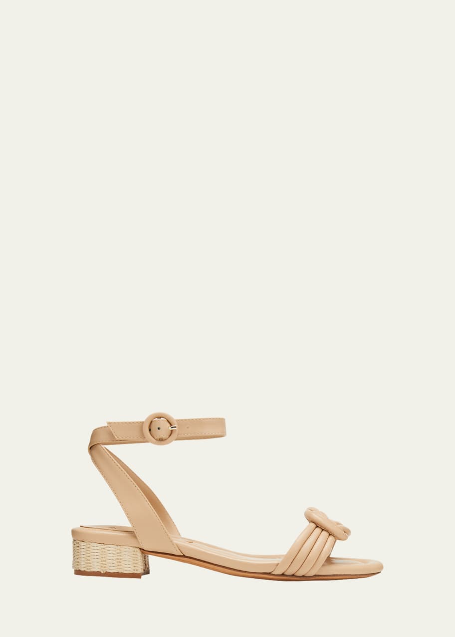 Alexandre discount birman vicky