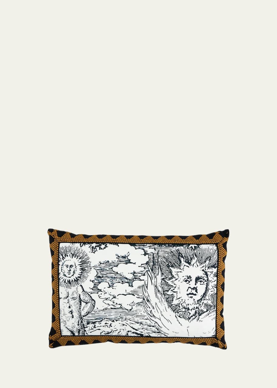 Image 1 of 1: Tim Tim & Modern Toile Pillow