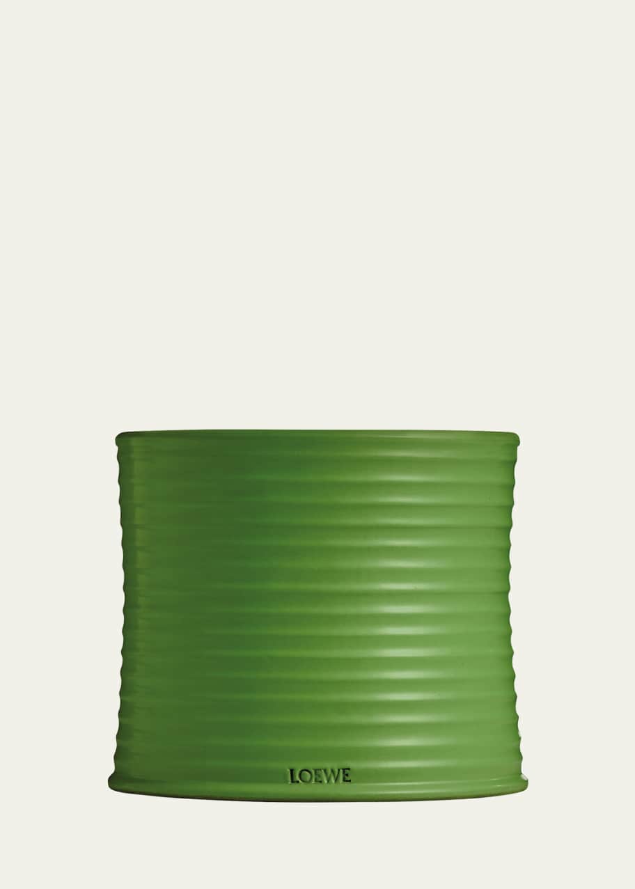 Loewe 74.8 oz. Large Luscious Pea Candle - Bergdorf Goodman