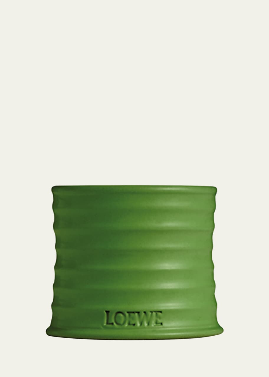 Loewe 5.8 oz. Small Luscious Pea Candle - Bergdorf Goodman