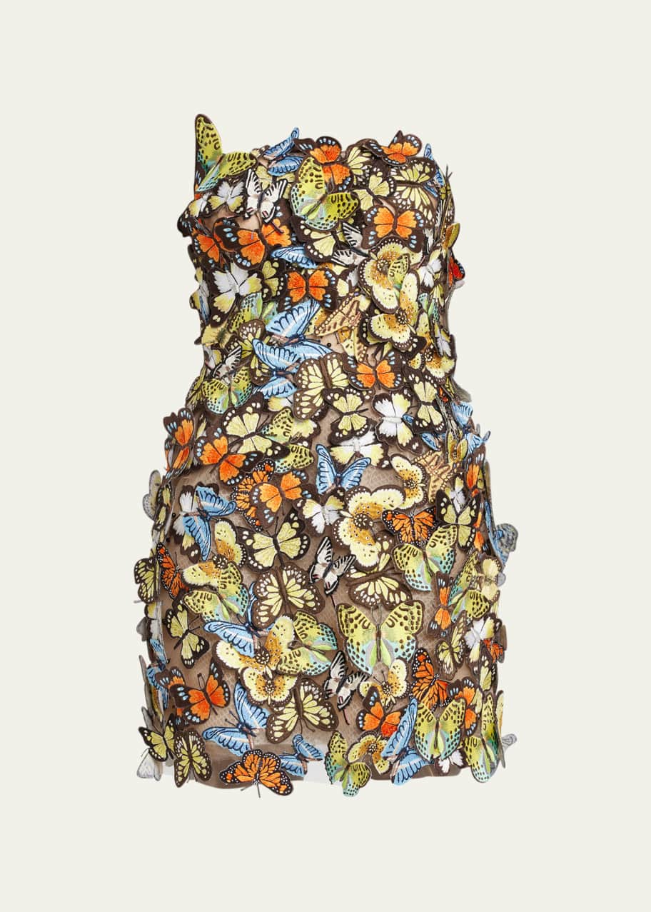 Image 1 of 1: Butterfly Embroidered Mini Dress