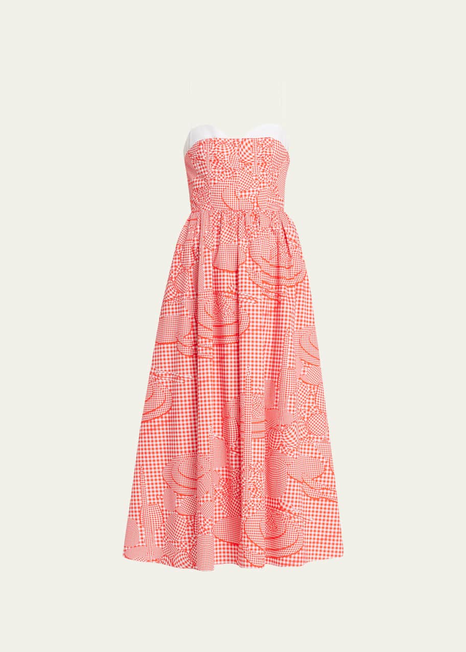Gingham Seamed Bodice Midi Dress