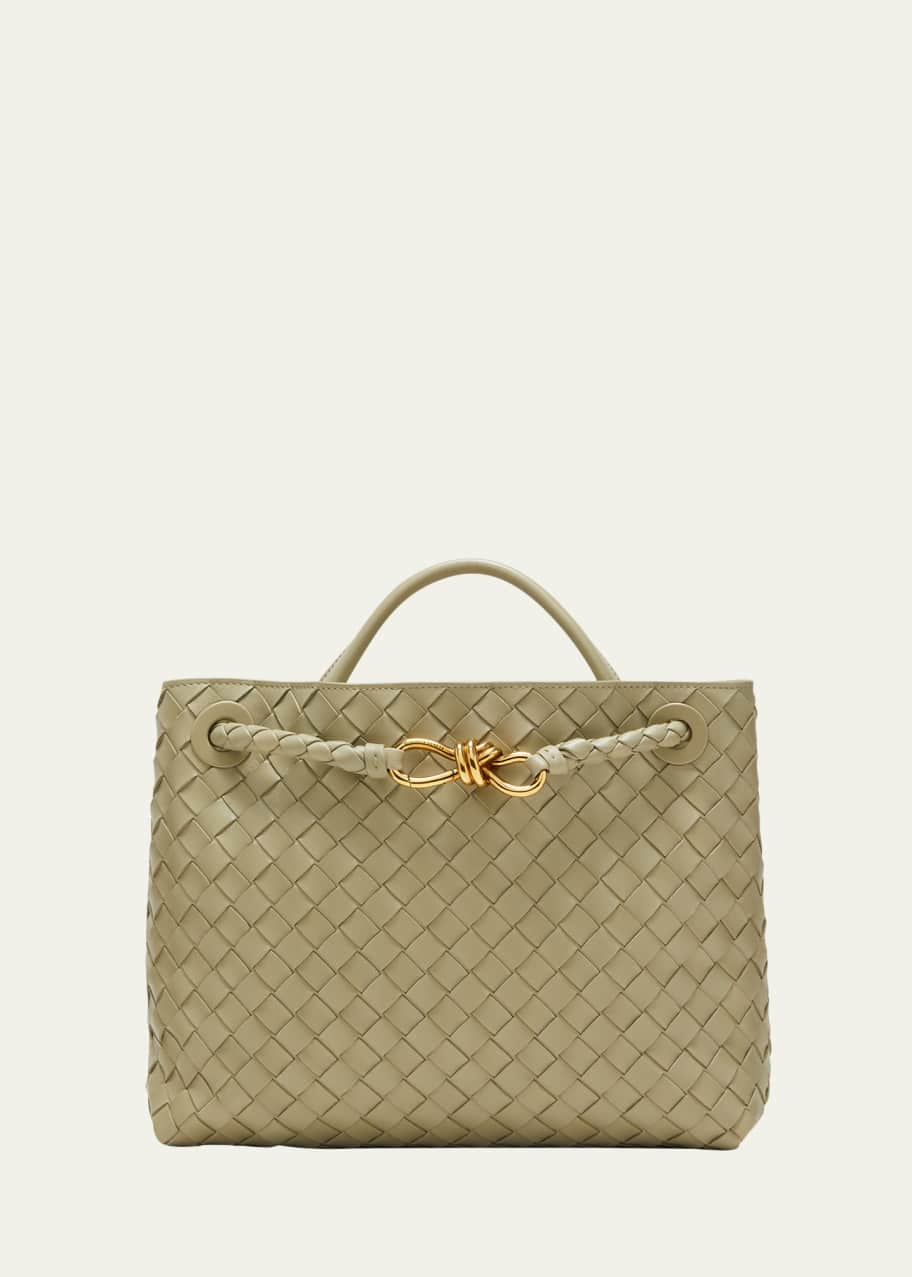 Bottega Veneta Medium Andiamo Bag - Bergdorf Goodman