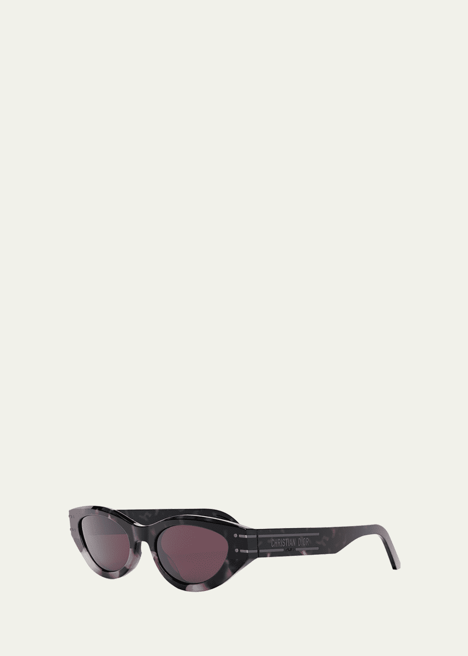 DIOR DiorSignature B5I Acetate Butterfly Sunglasses Bergdorf Goodman