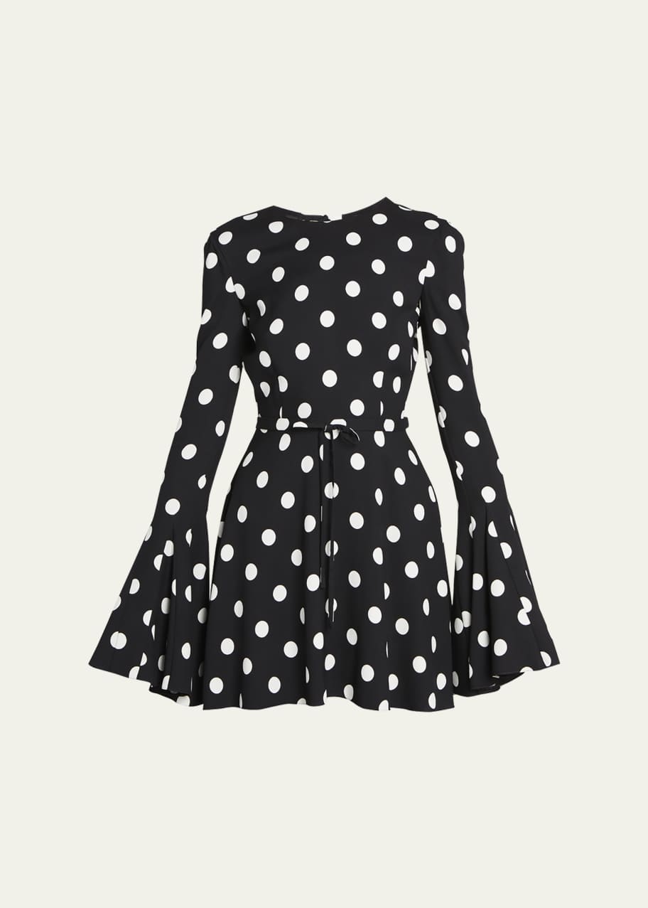 Image 1 of 1: Polka Dot Mini Flare Dress