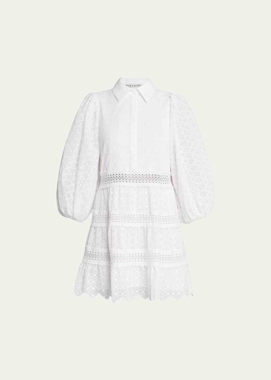 Alice and discount olivia blakesley dress