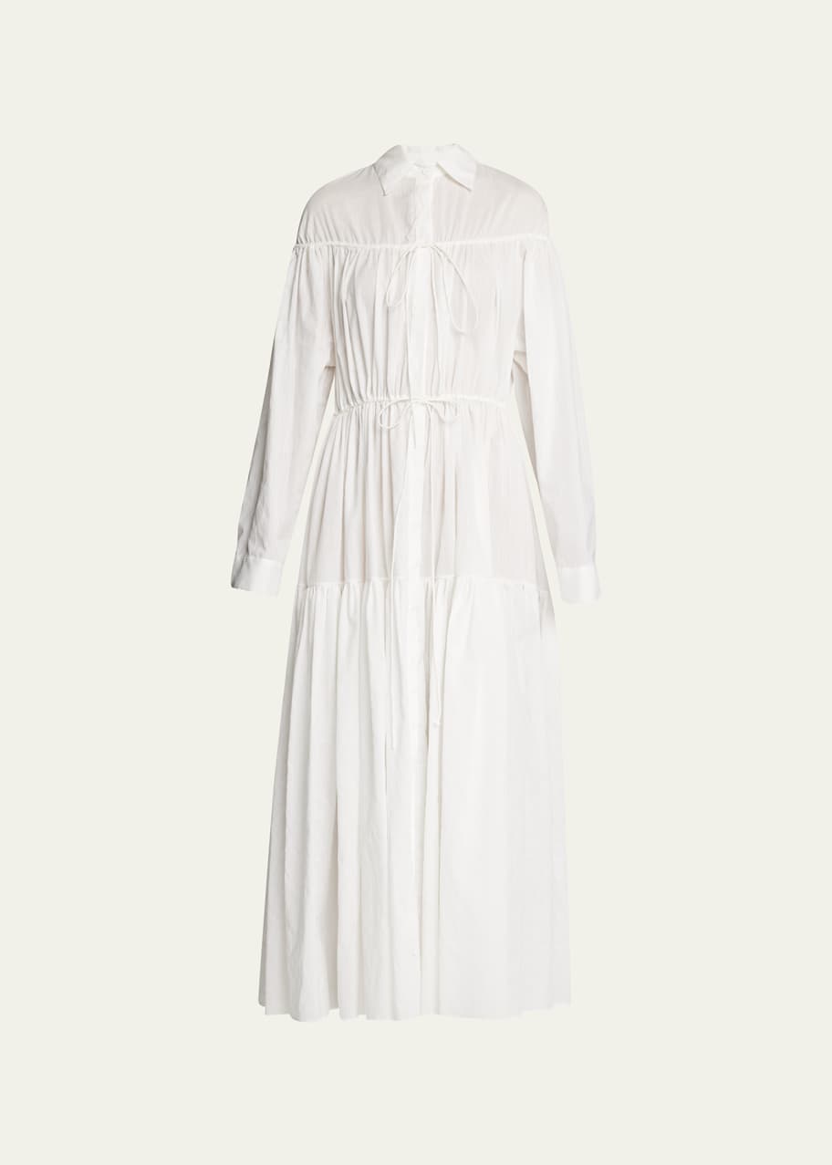 Image 1 of 1: Tiered Long-Sleeve Drawcord Maxi Dress