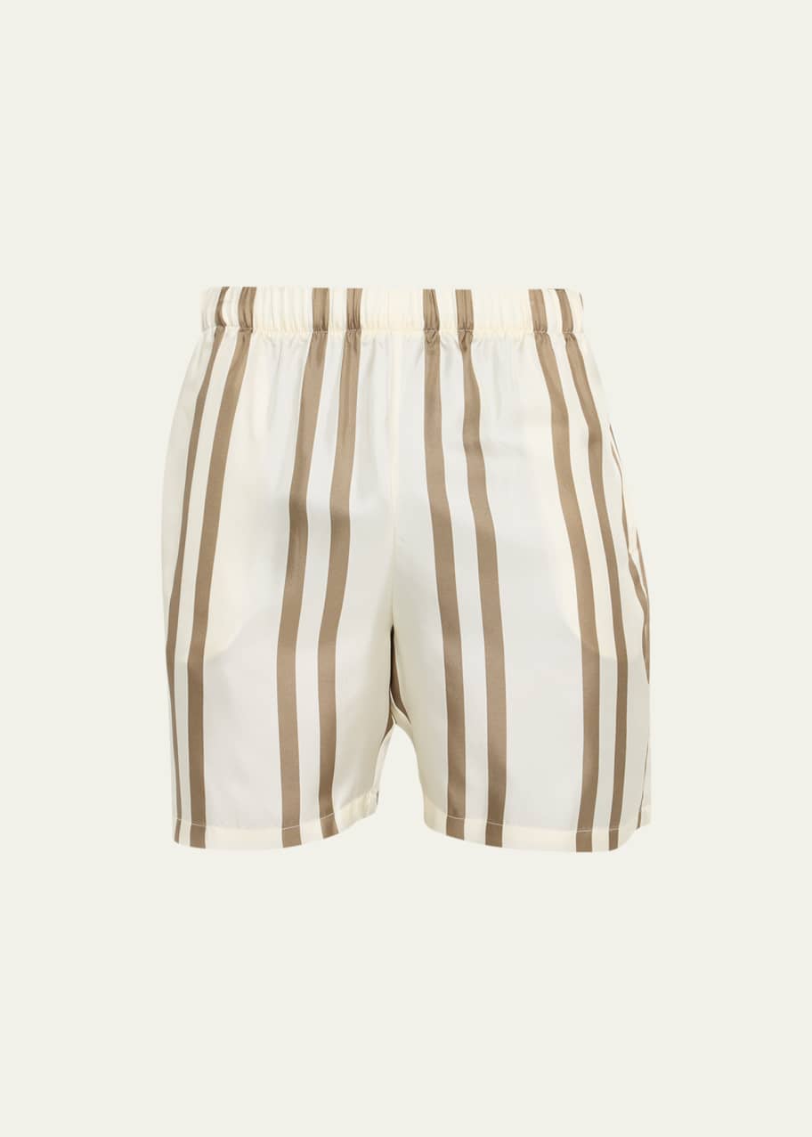 Image 1 of 1: Men's Striped Silk Shorts