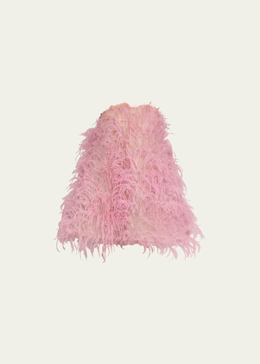 Image 1 of 1: Strapless Feather Embroidered Mini Dress