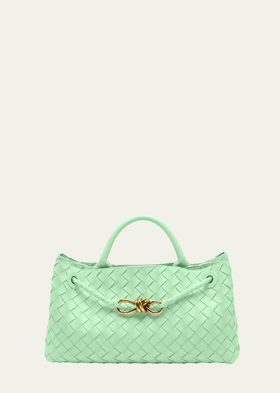 Bottega Veneta Small East-West Andiamo Bag - Bergdorf Goodman