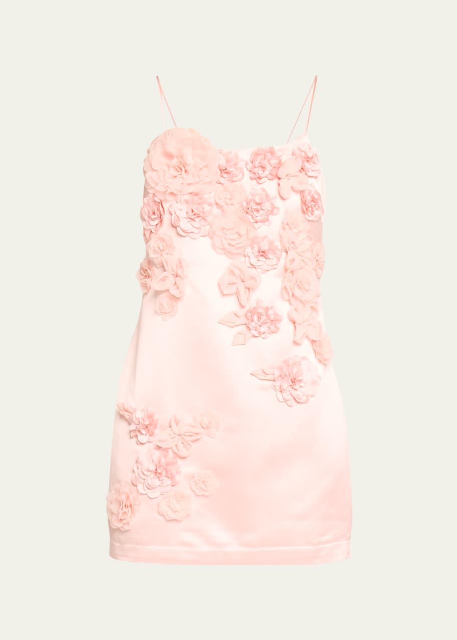 knee length dresses for ladies Grace Floral Applique Tulle Babydoll Mini Dress Ivory / L