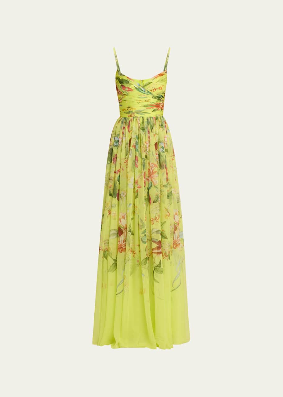 Oscar de la Renta Draped V-Neck Floral and Fauna Chiffon Sleeveless Gown -  Bergdorf Goodman