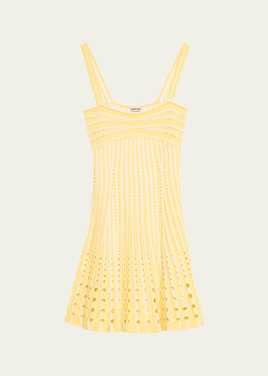 SIMKHAI Franklin Crochet Fit & Flare Mini Dress - Bergdorf Goodman