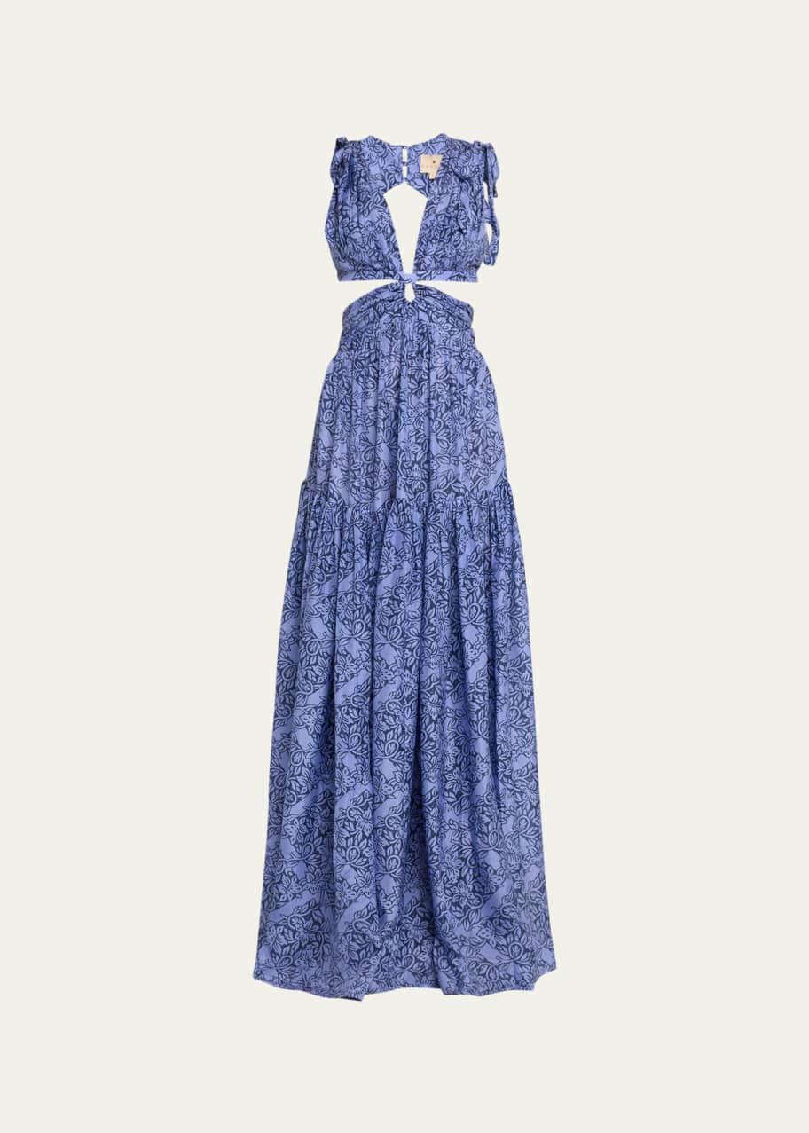 Hannah Artwear Amelie Cutout Printed Silk Sleeveless Maxi Dress - Bergdorf  Goodman