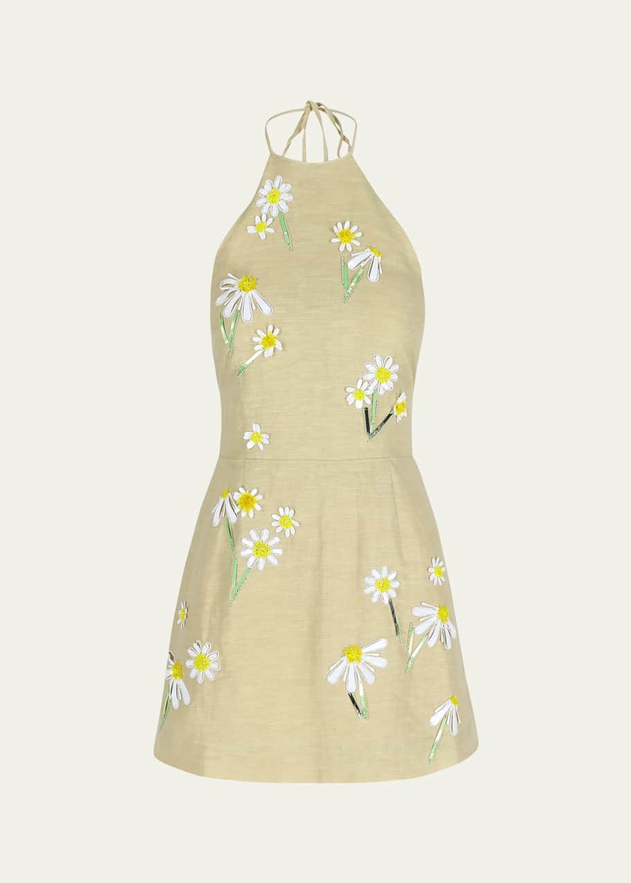 Image 1 of 1: Delilah Embroidered Linen Mini Dress