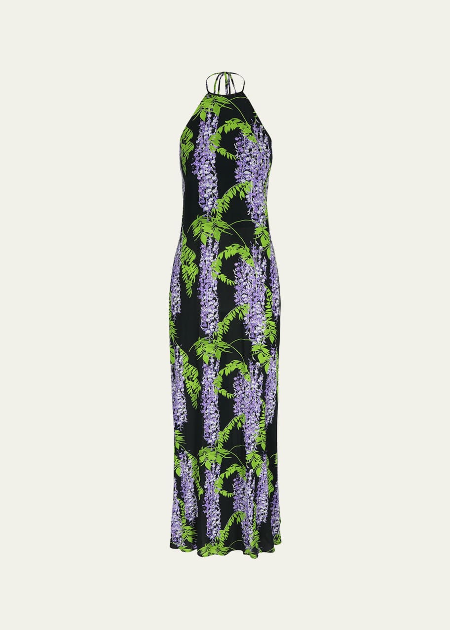 Image 1 of 1: Frannie Floral Print Maxi Dress