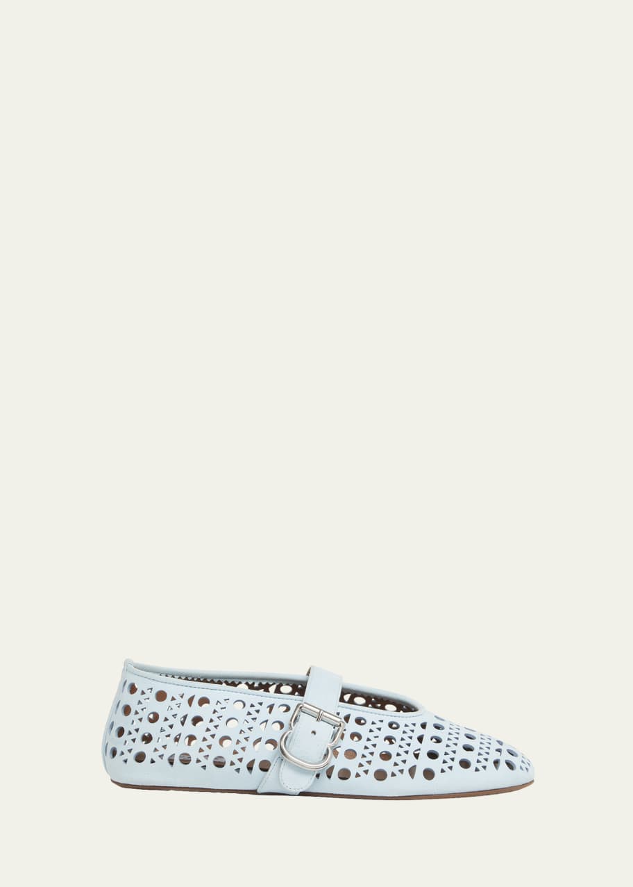 Image 1 of 1: Vienne Perforated Suede Buckle Ballerina Flats