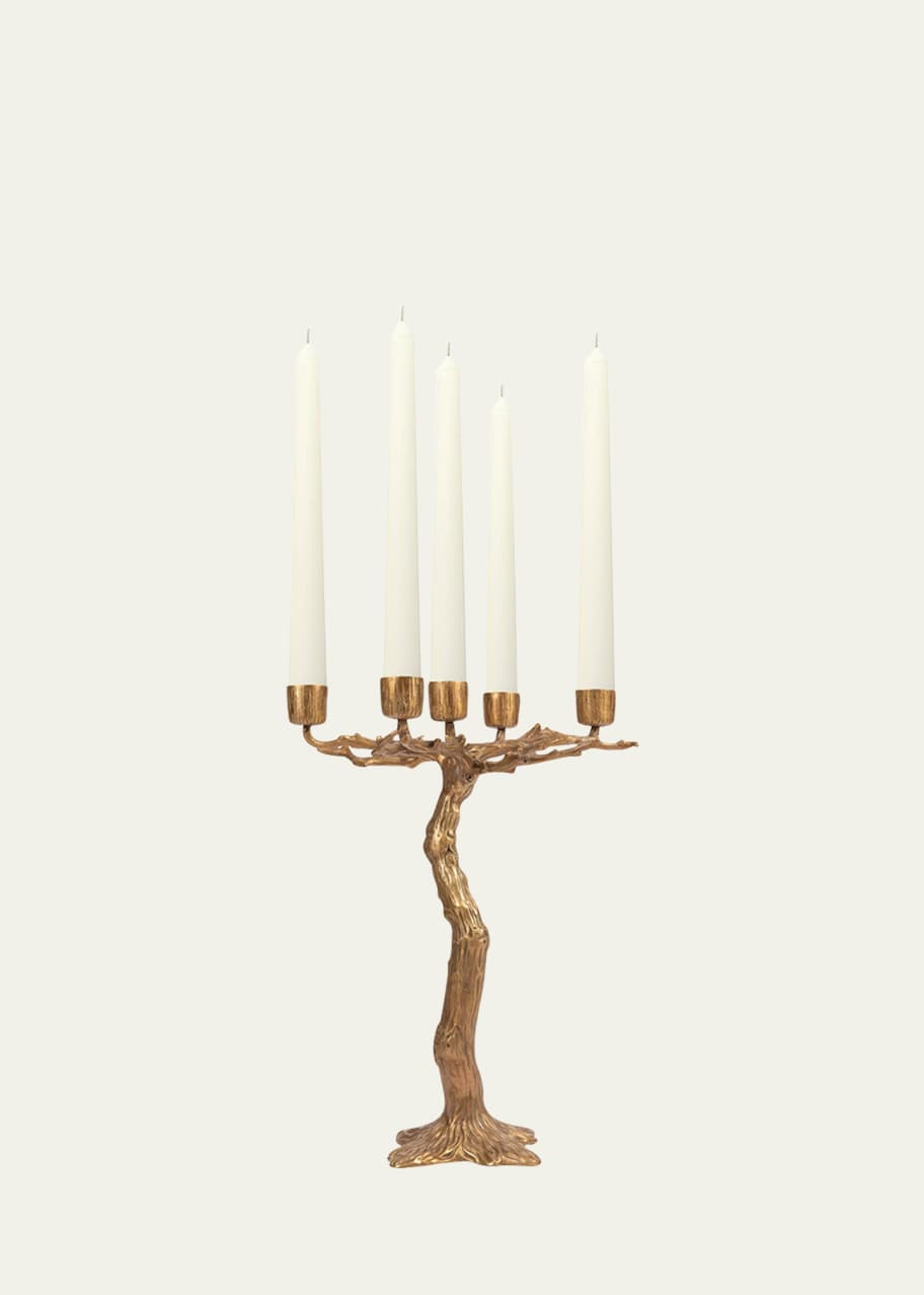Image 1 of 1: Quercus Candelabra