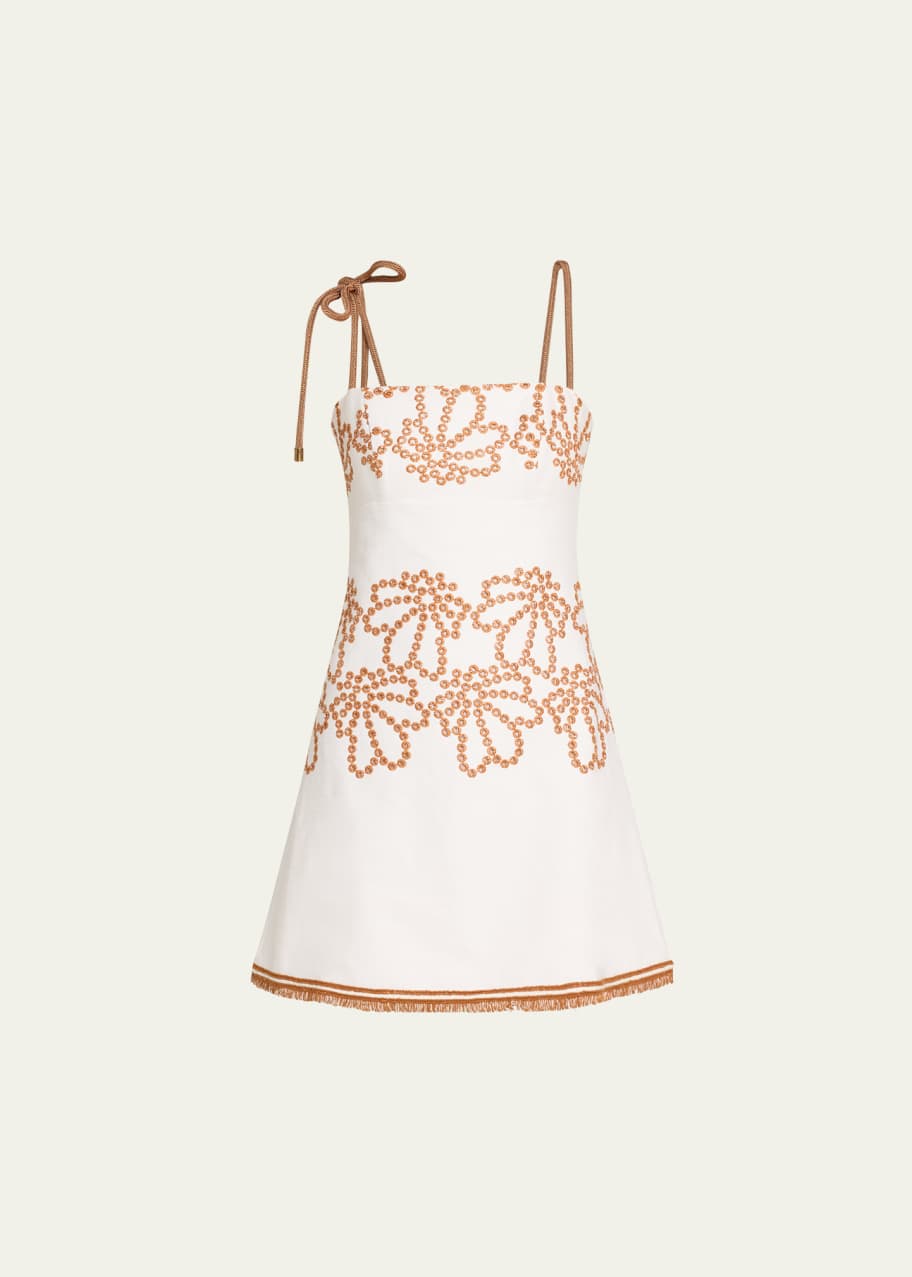Silvia Tcherassi Balerina Embroidered Mini Dress - Bergdorf Goodman