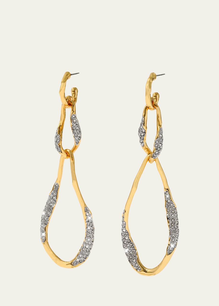 Image 1 of 1: Solanales Crystal Linear Link Earrings