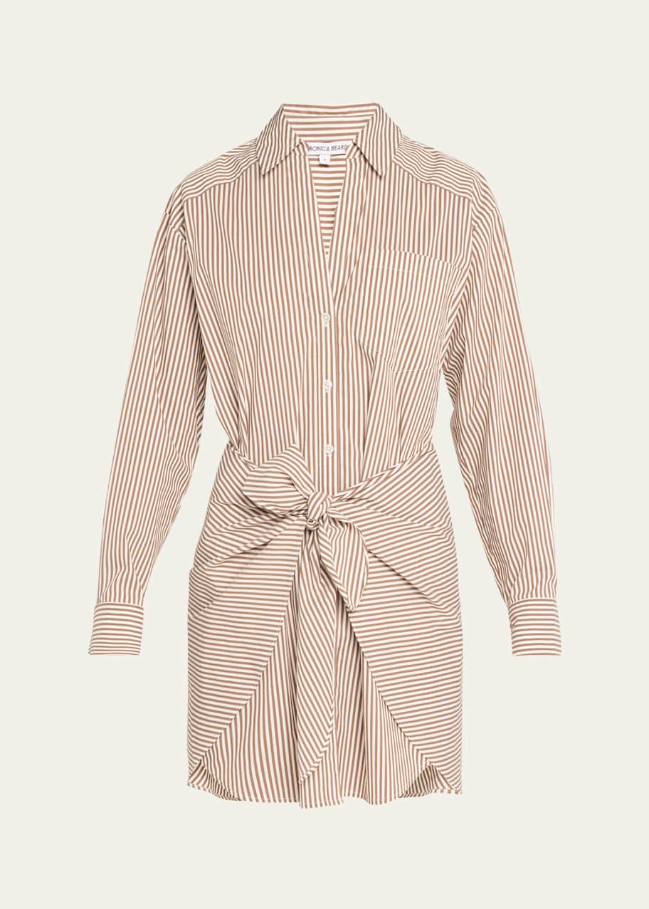 Image 1 of 1: Roanoke Stripe Shirtdress