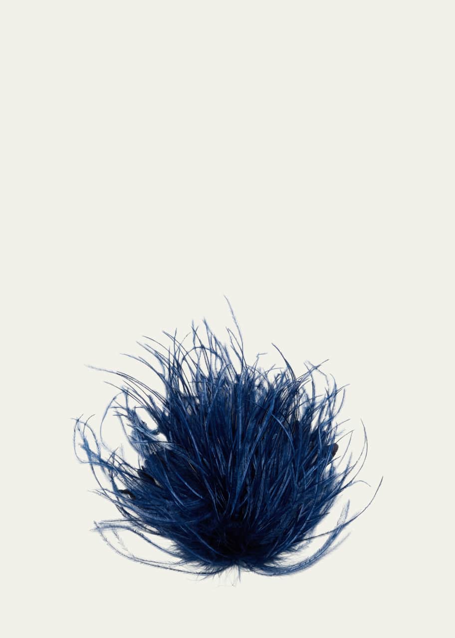 アパルトモン INDRESS Ostrich feather broo INDRESS Ostrich Feather