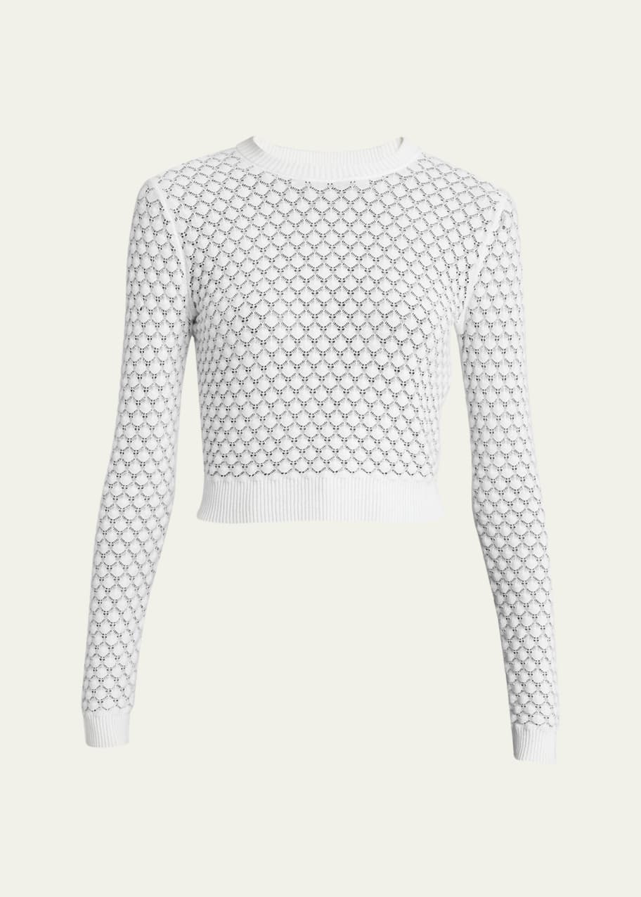 Spice Striped Pointelle Cotton Cropped Sweater