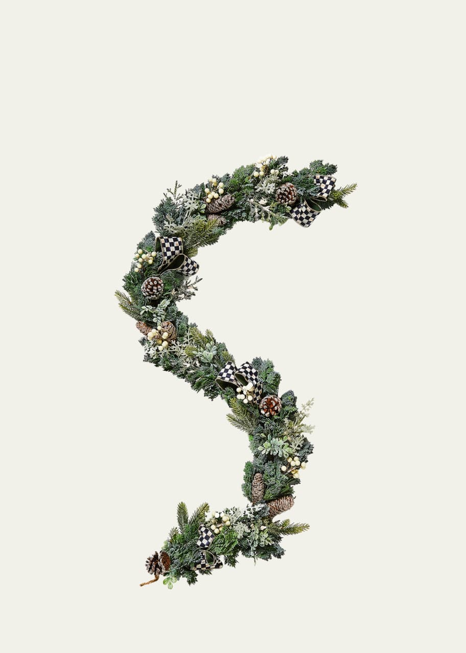 Image 1 of 1: Farmhouse Holiday Illuminated Garland