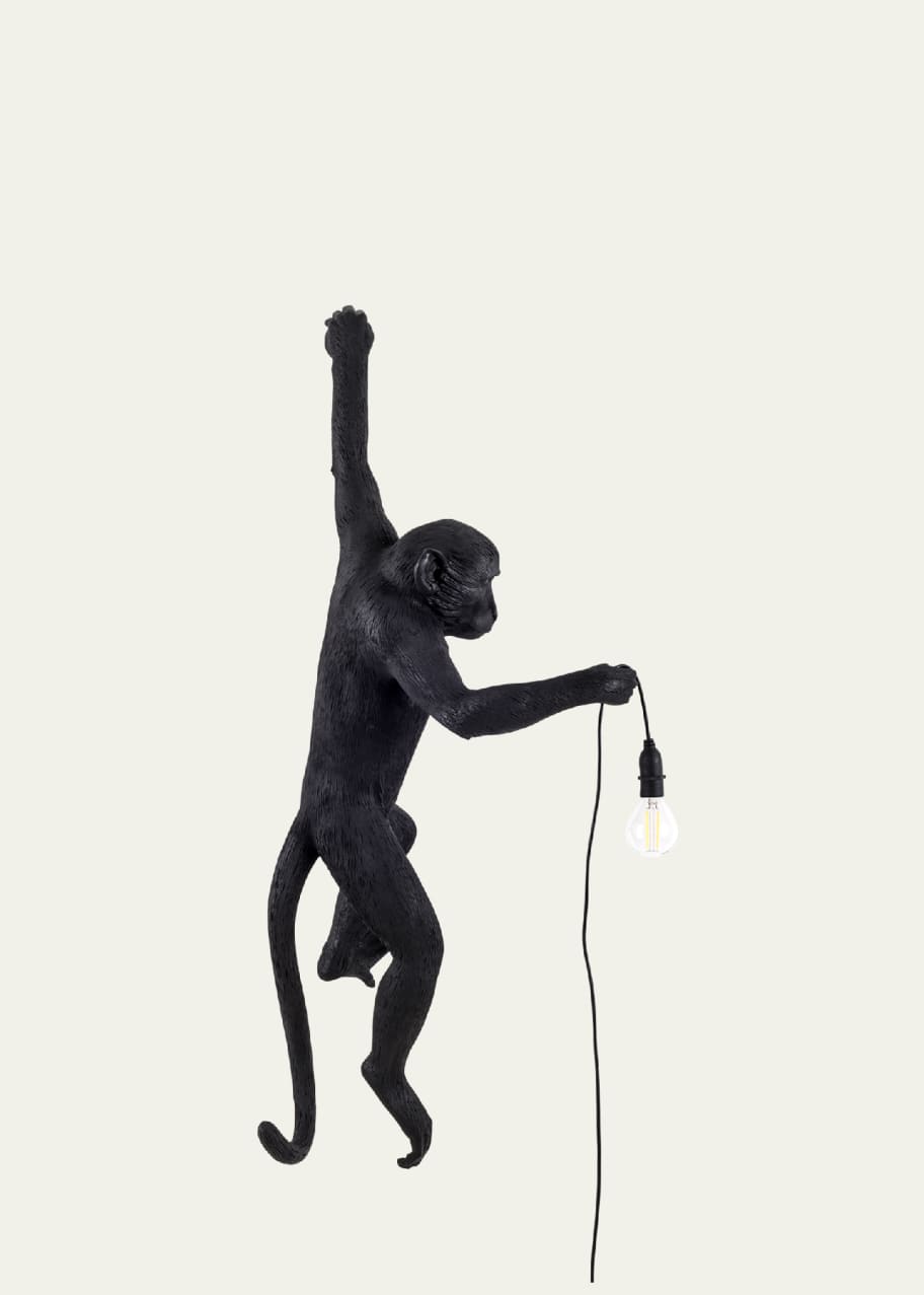 Image 1 of 1: Monkey Left Hand Outdoor Hanging Wall Lamp