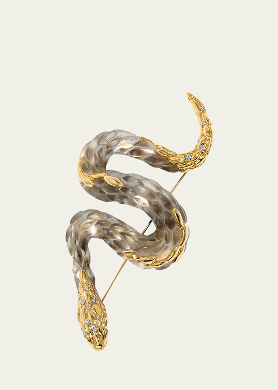 Image 1 of 1: Serpent Lucite Pin, Desert