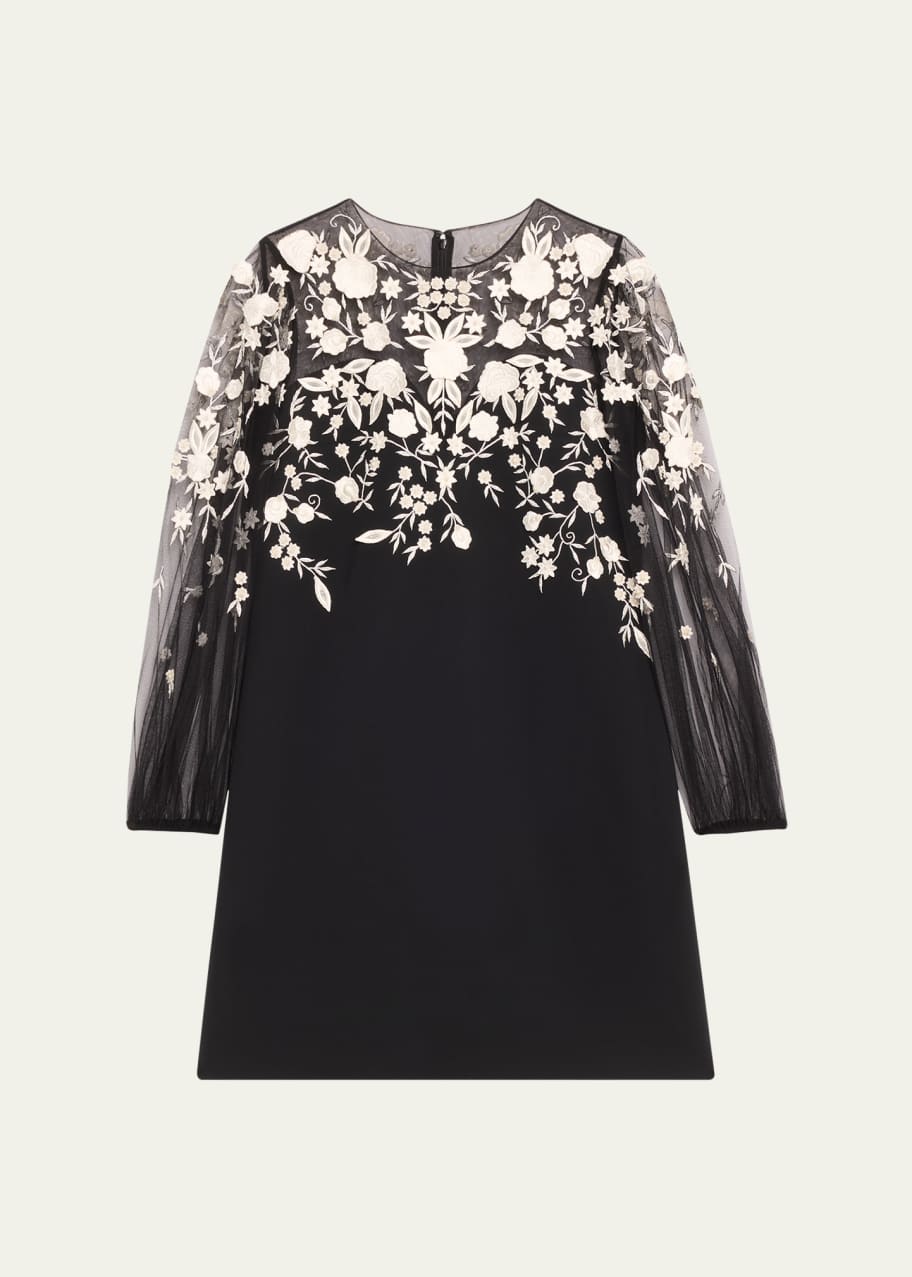 Image 1 of 1: Floral Embroidered Puff-Sleeve Mini Illusion Dress