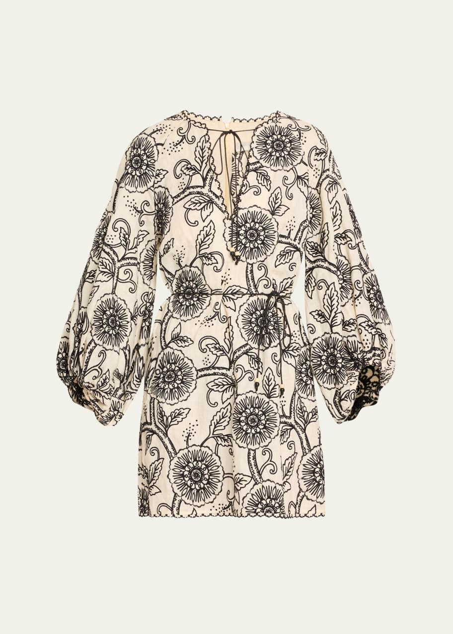 Image 1 of 1: Tallow Embroidered Mini Dress