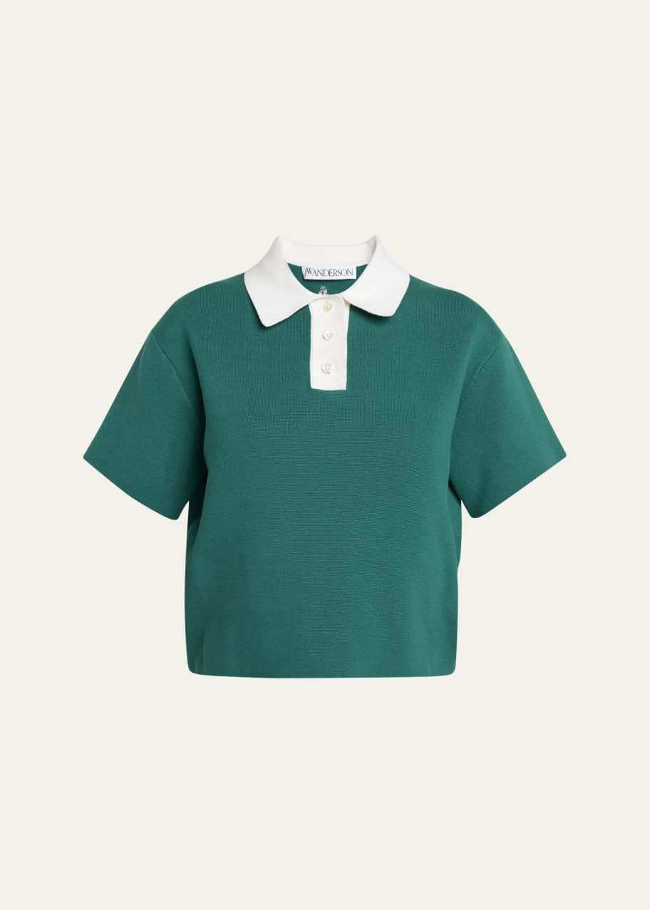 Image 1 of 1: Two-Tone Cropped Polo Top