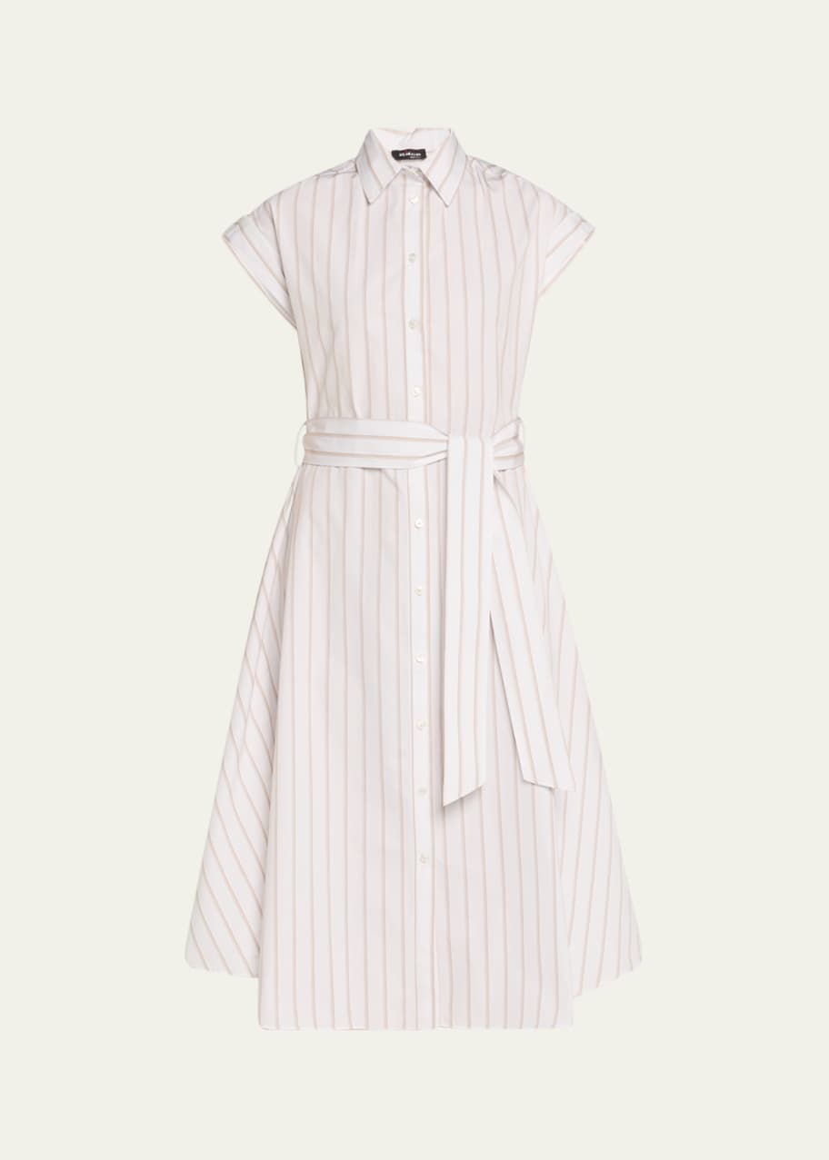 Image 1 of 1: Striped Cotton Poplin Midi Shirtdress