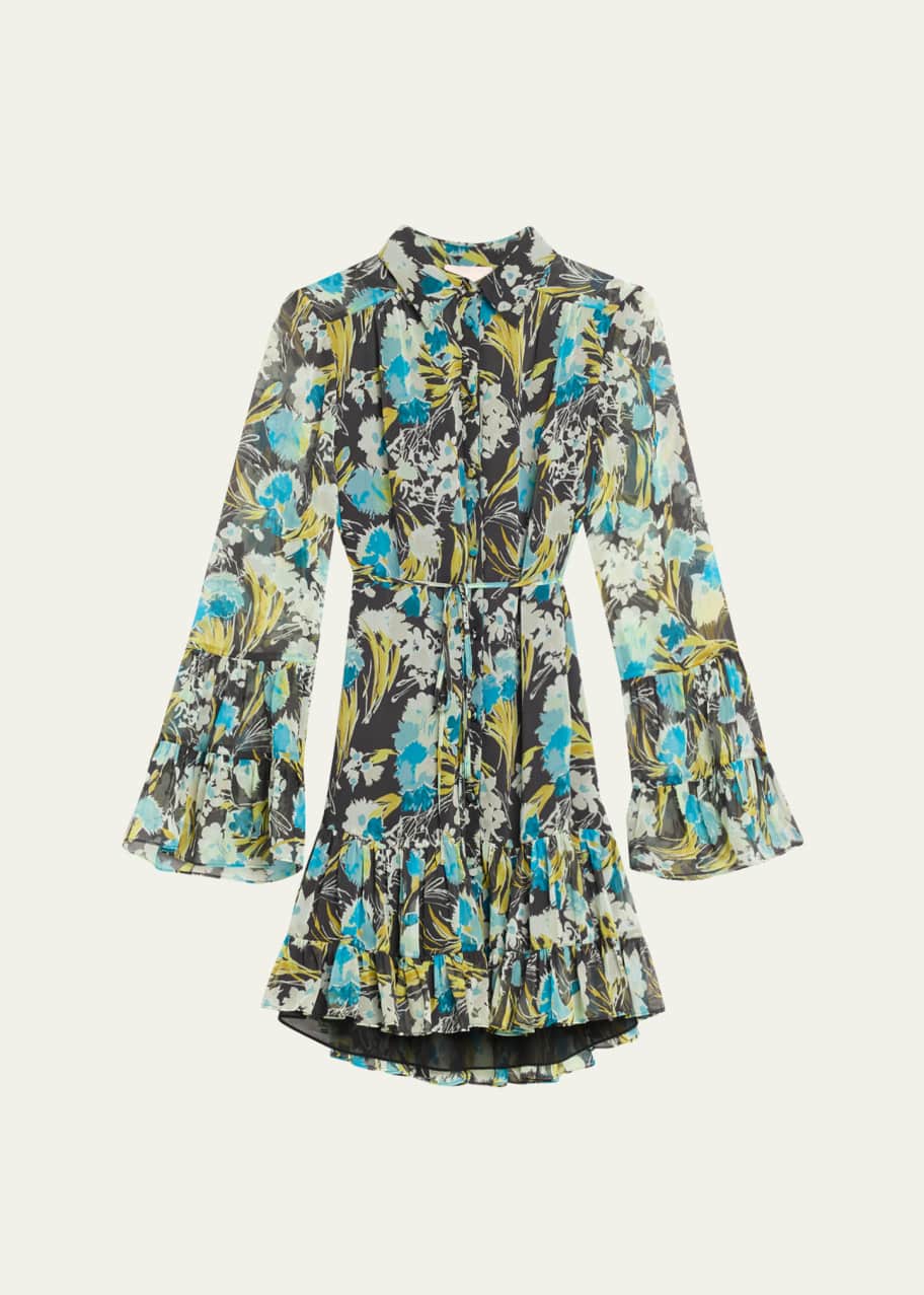 Image 1 of 1: Lyra Floral Long-Sleeve Mini Dress