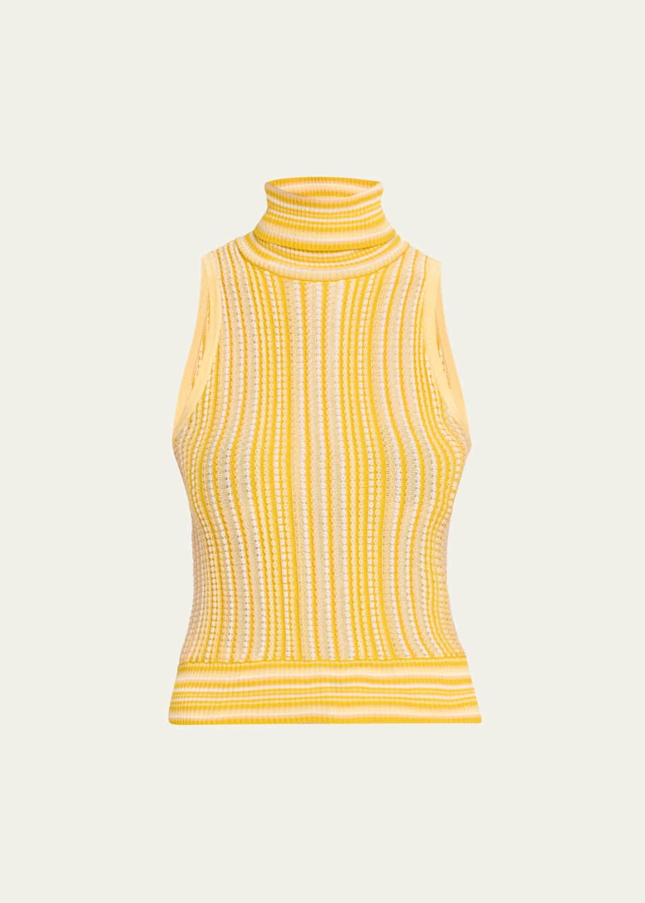 Ramy Brook Leonie Turtleneck Top - Bergdorf Goodman