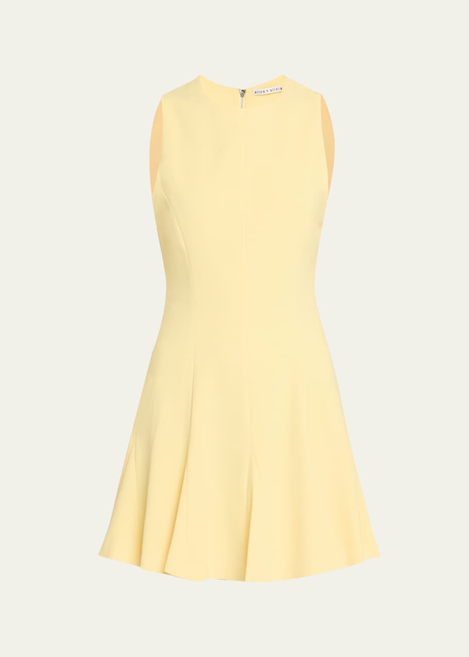 Image 1 of 1: Isabelle Crewneck Sleeveless Seamed Flare Mini Dress