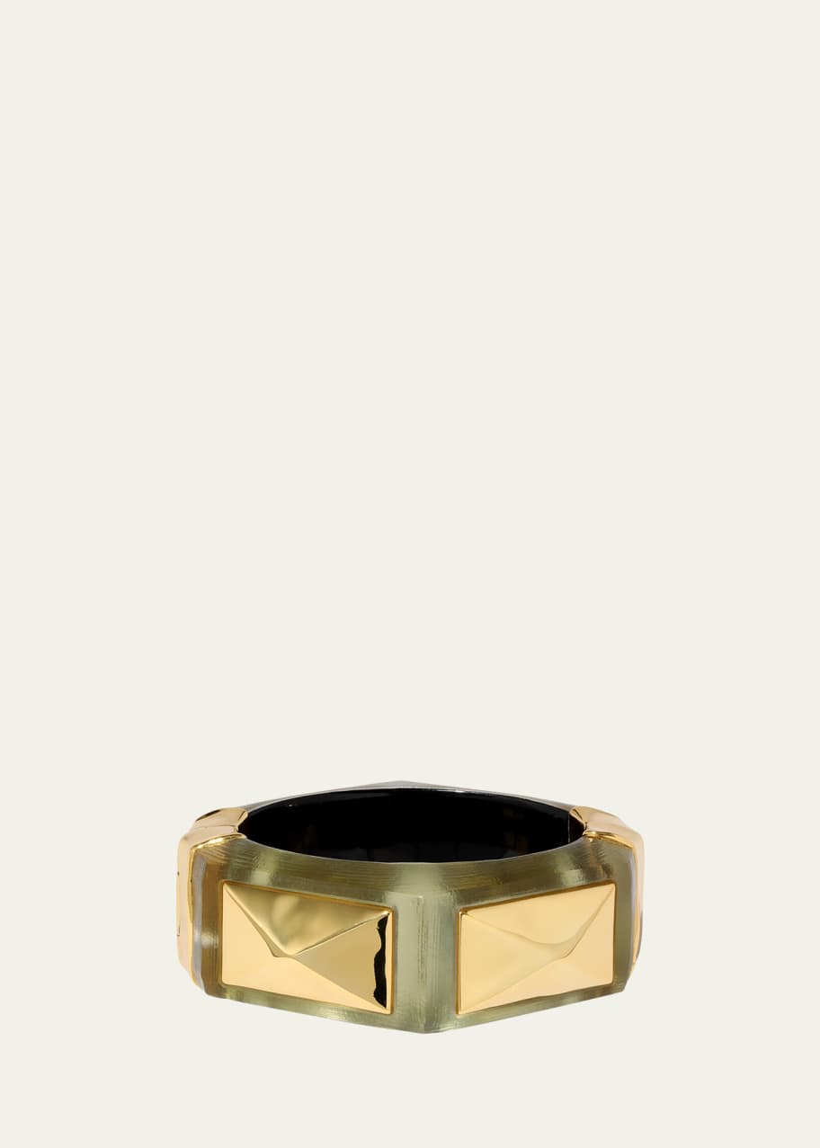 Image 1 of 1: Luminous Lucite Armor Hinge Bracelet