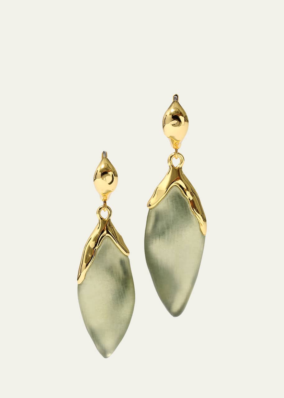 Image 1 of 1: Luminous Lucite Petal Earrings