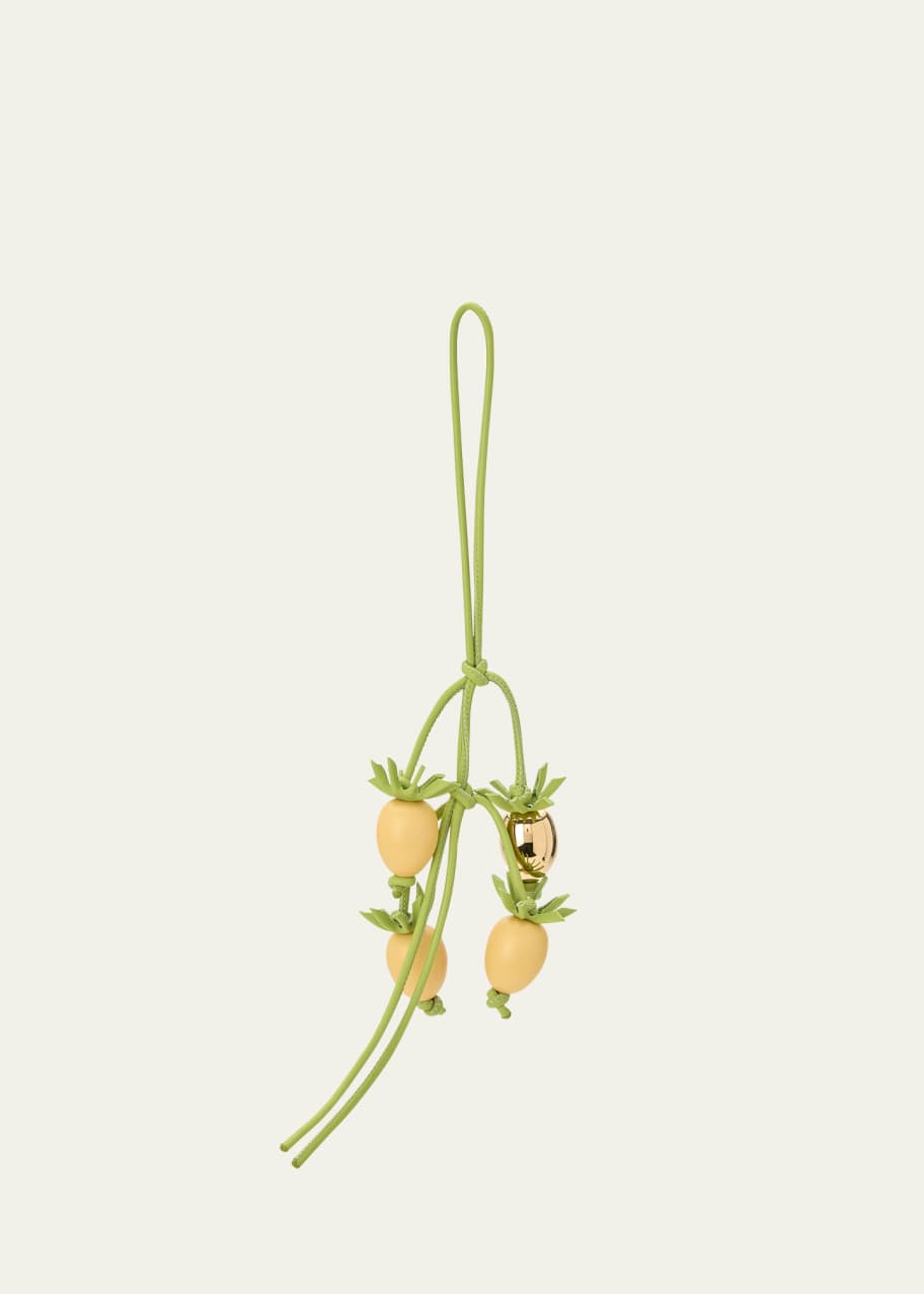 【LOEWE】Paula's Ibiza ★トマトブランチ レザーバッグチャーム Loewe x Paula's Ibiza Tomato Branch Charm in Resin and