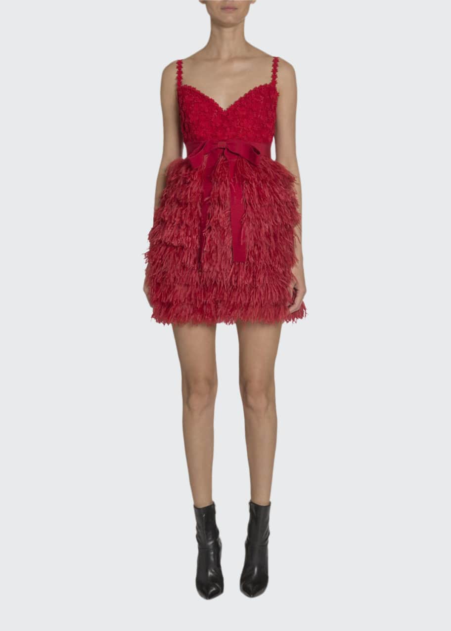 Image 1 of 1: Lace & Feather Mini Dress