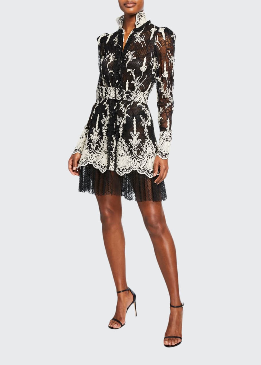 knee length dresses for ladies Alexis Black Semi-Sheer Floral Lace Mini Dress