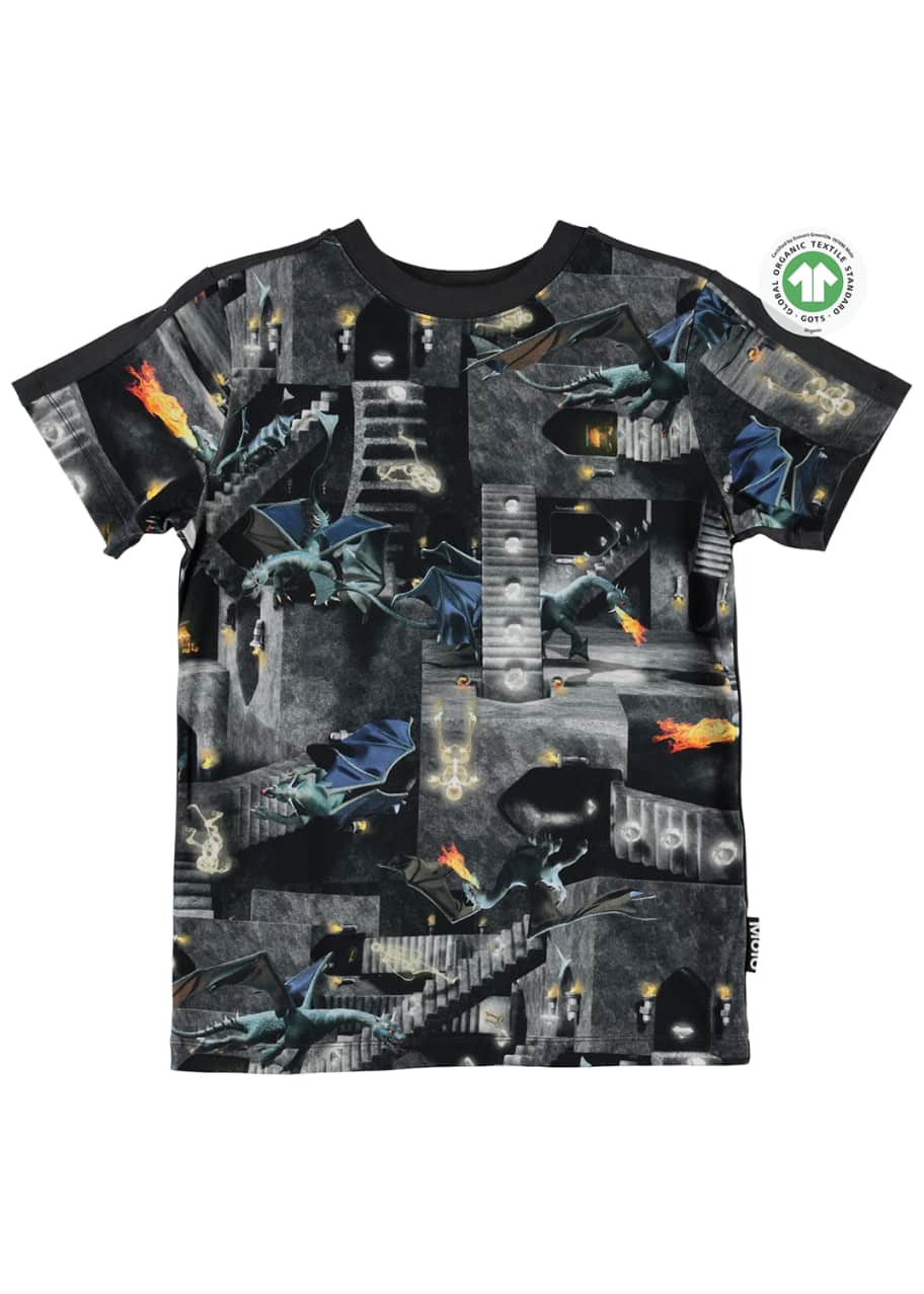 Image 1 of 1: Boy's Rishi Dragon Printed Short-Sleeve T-Shirt, Size 4-12