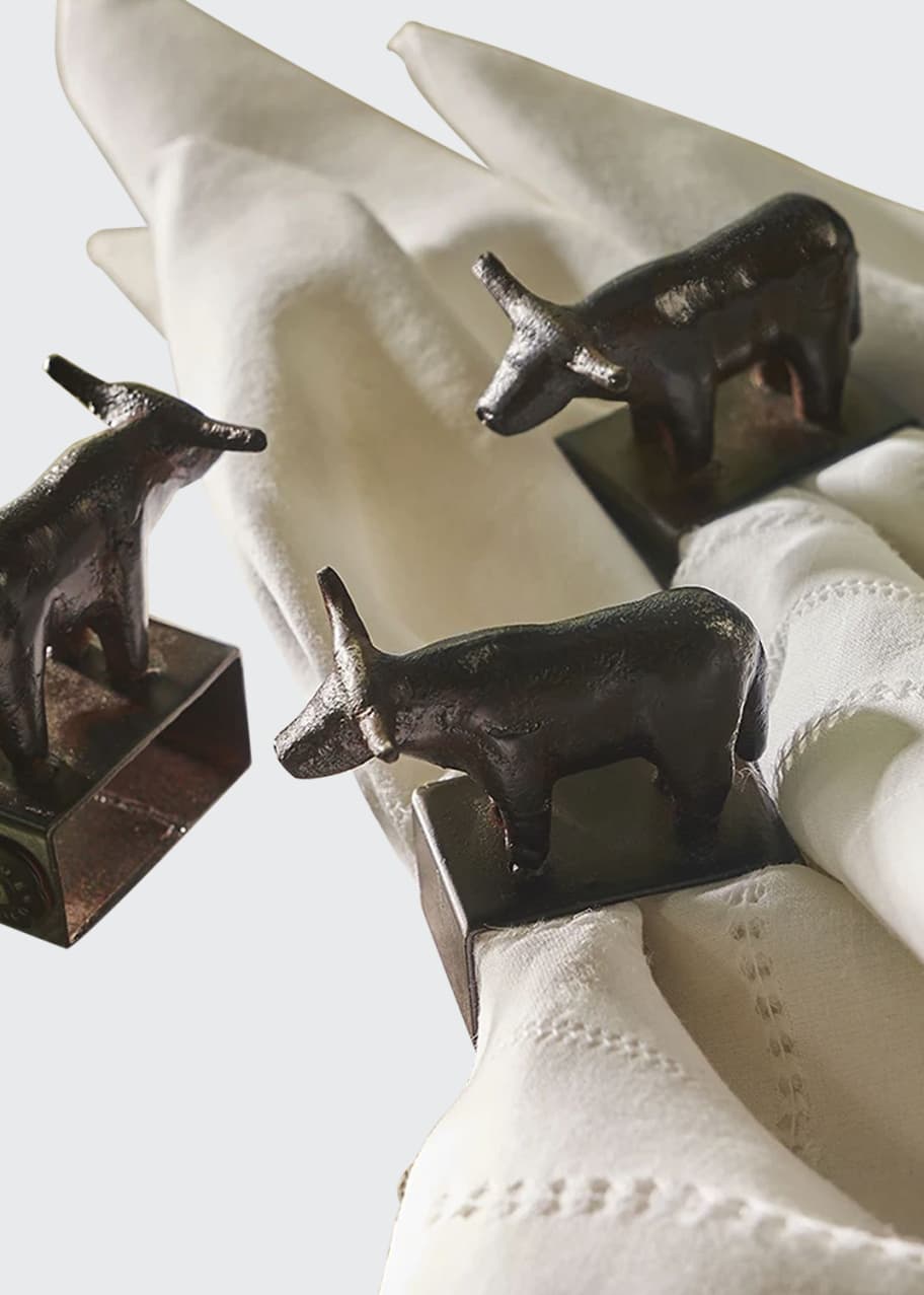 Jan barboglio napkin rings online