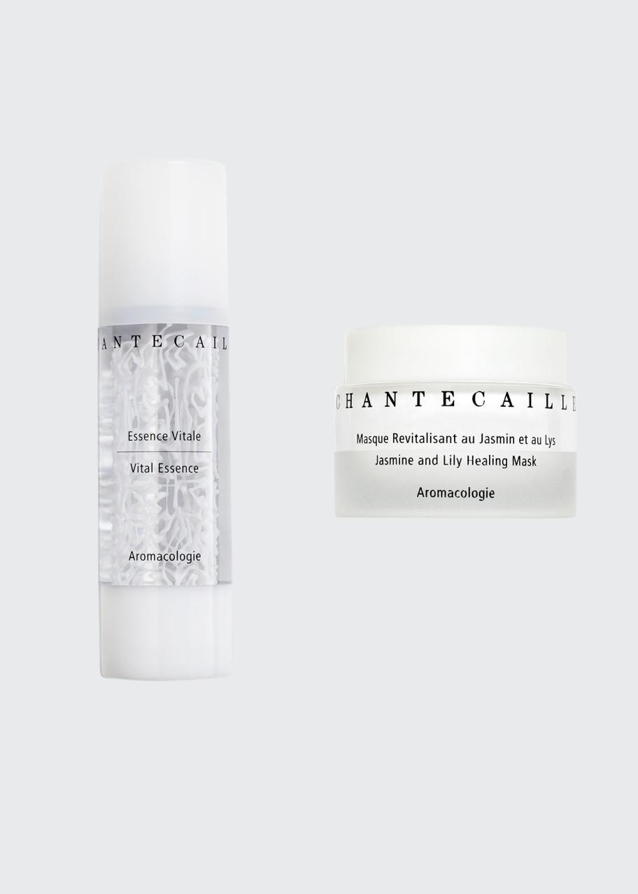 Chantecaille Botanical Essentials Limited Edition Set - Bergdorf Goodman