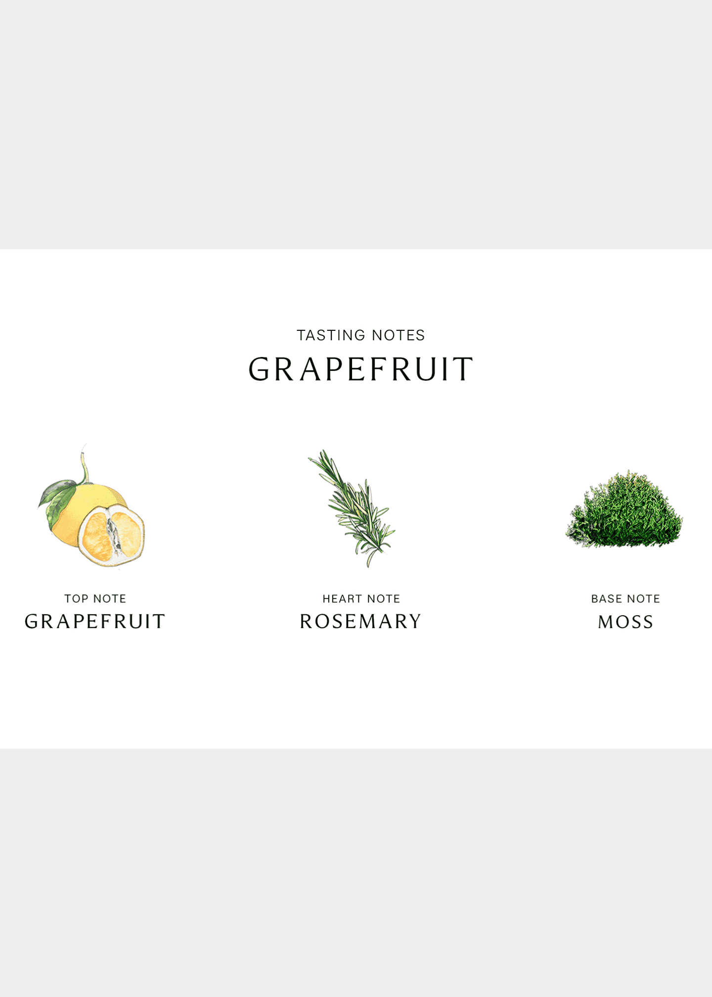 Jo Malone London Grapefruit Cologne, 3.4 oz. Image 3 of 3
